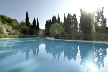 swimming pool